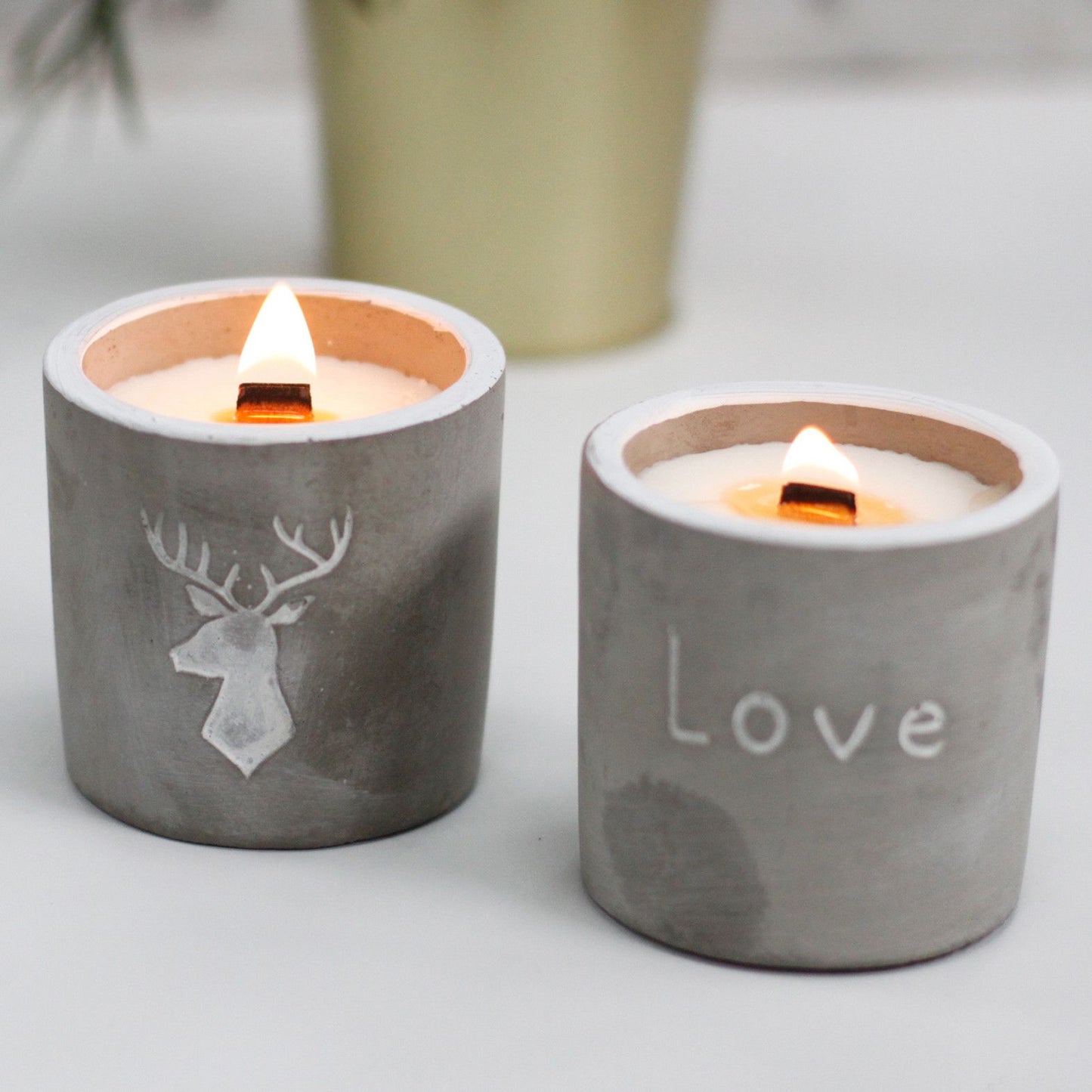 Whisky & Woodsmoke Botanical Wood-Wick Candle (Stag Head Concrete Pot)