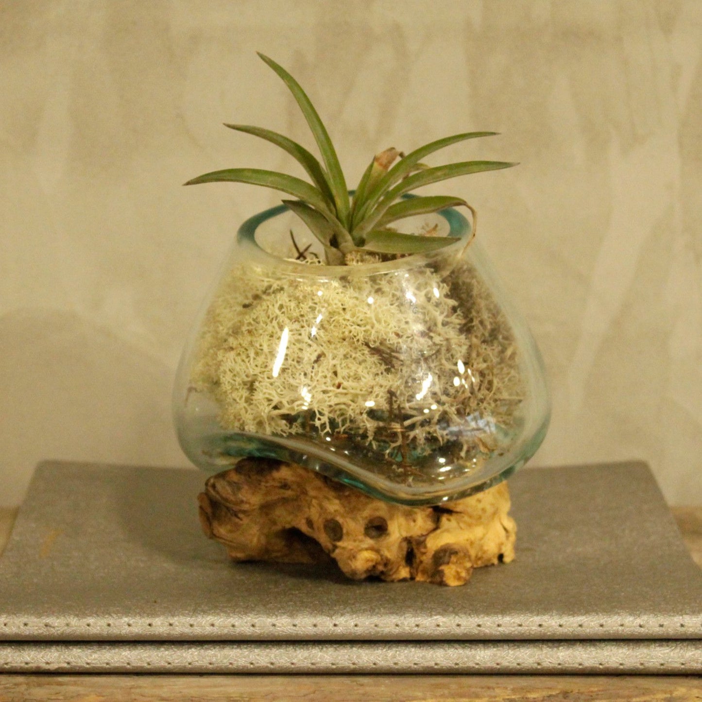 Artisan Molten Glass & Reclaimed Root Small Bowl