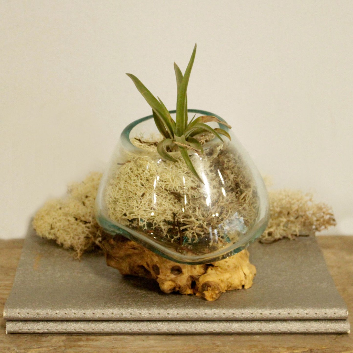 Artisan Molten Glass & Reclaimed Root Small Bowl