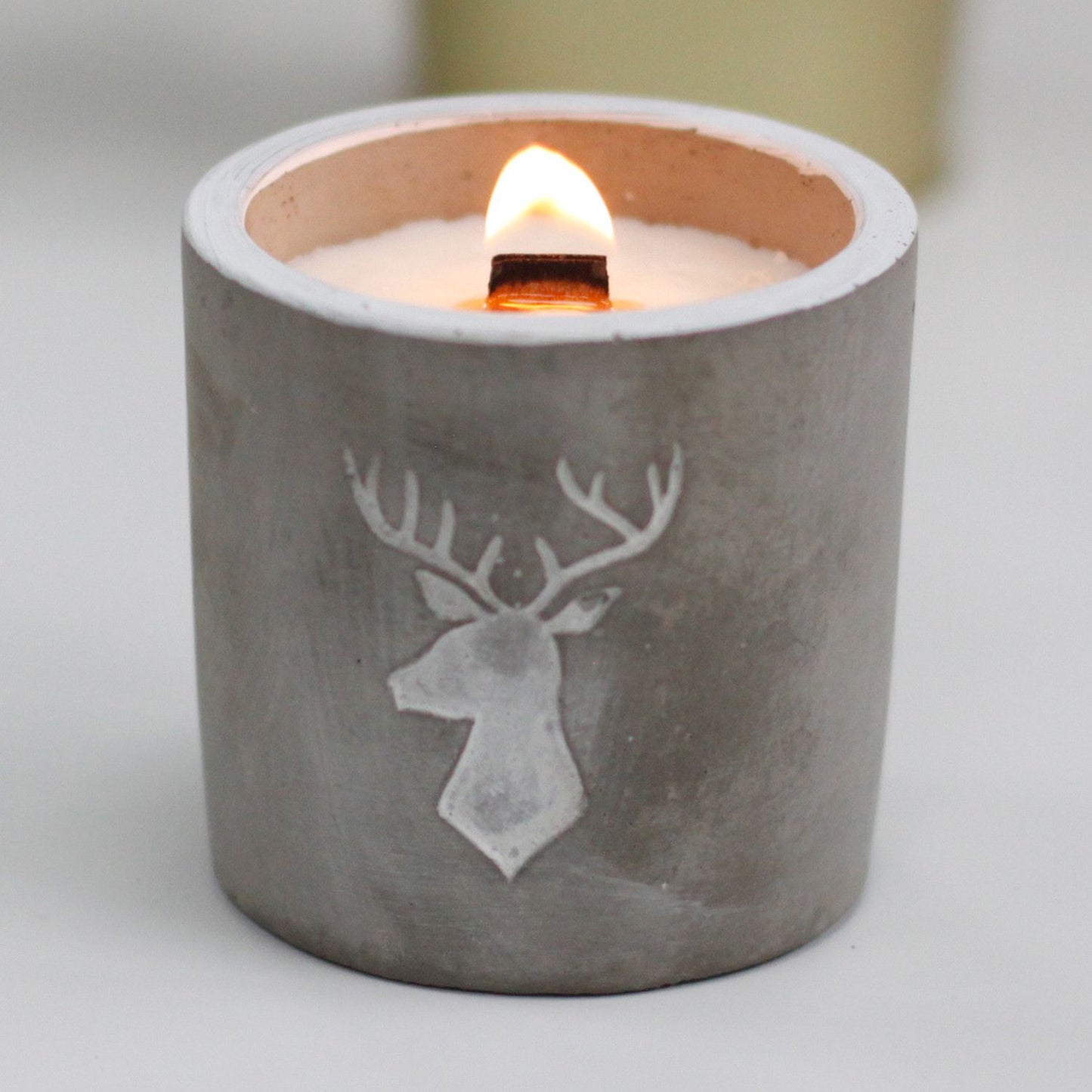 Whisky & Woodsmoke botanical wood-wick candle in a raw concrete stag head pot.