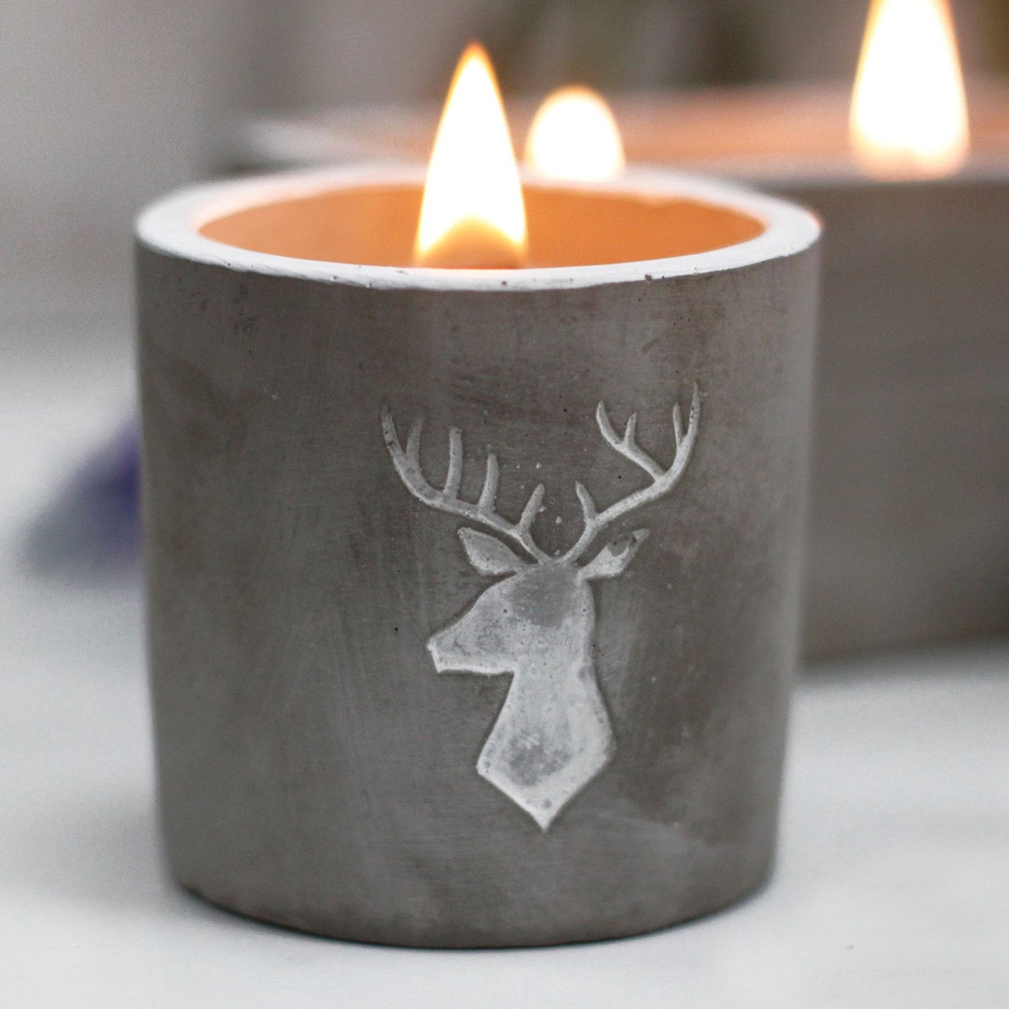 Whisky & Woodsmoke Botanical Wood-Wick Candle (Stag Head Concrete Pot)