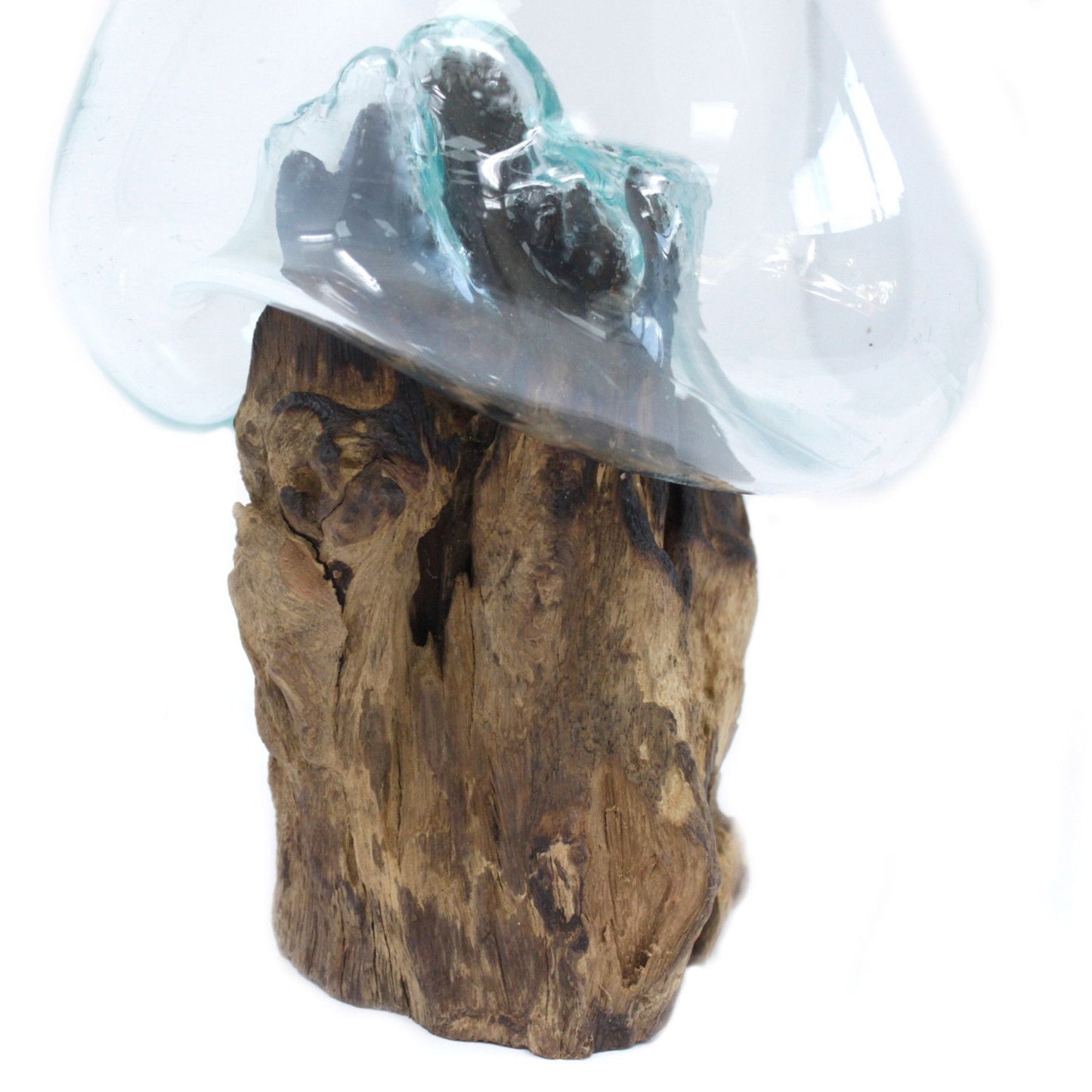Artisan Molten Glass & Reclaimed Root Large Bowl
